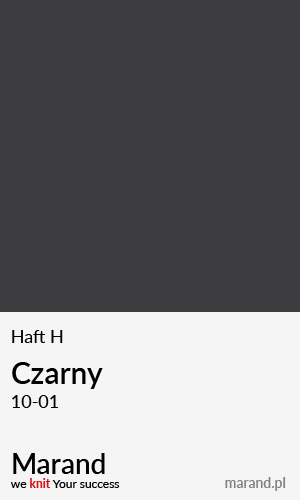 Haft H – kolor Czarny 10-01  